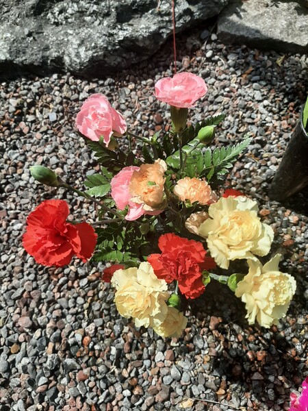 Klicka för att se förhandsgranska